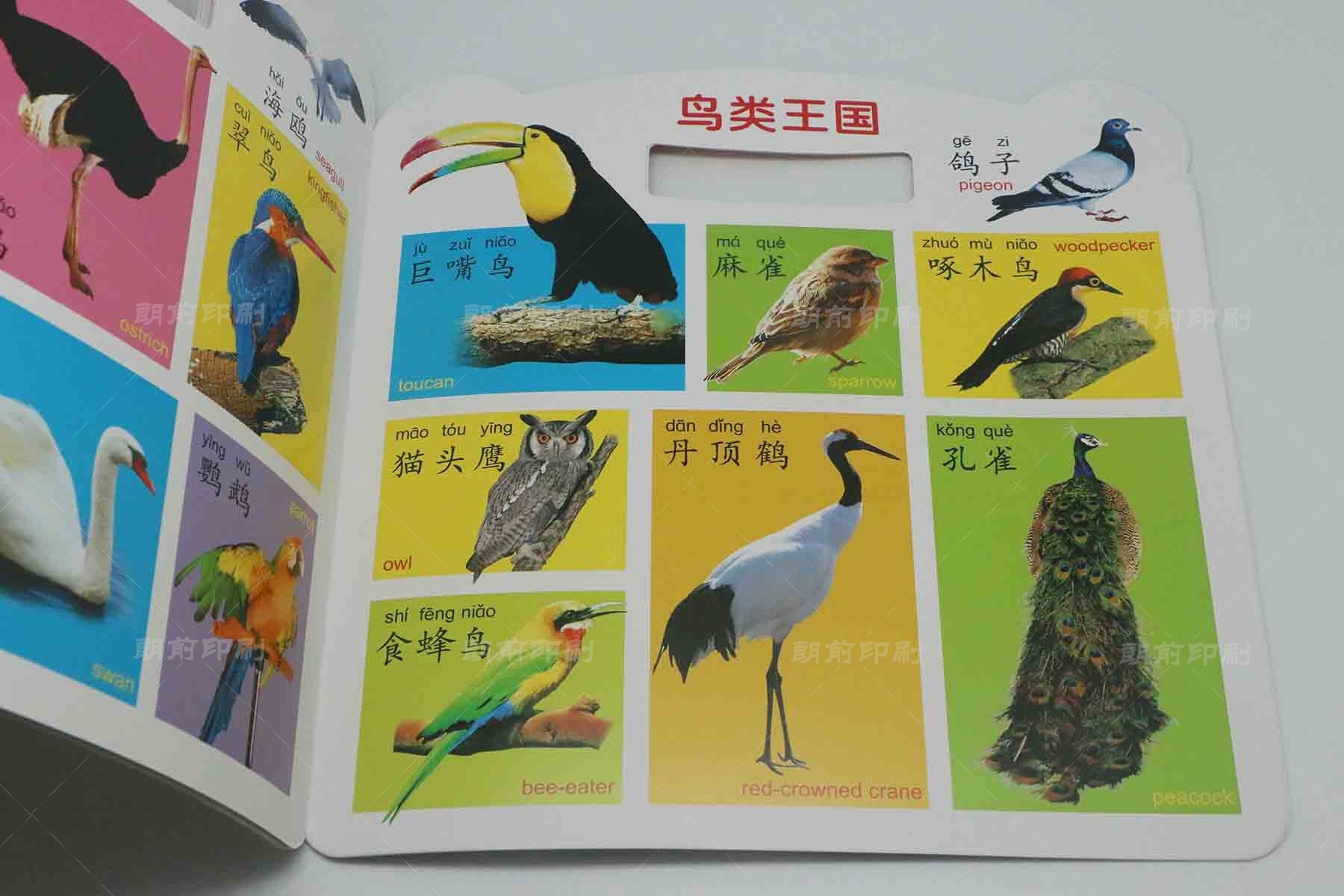 廣州畫冊印刷報價 廣州a4畫冊印刷尺寸是多少